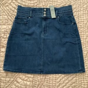 Ann Taylor Denim Skirt  12P